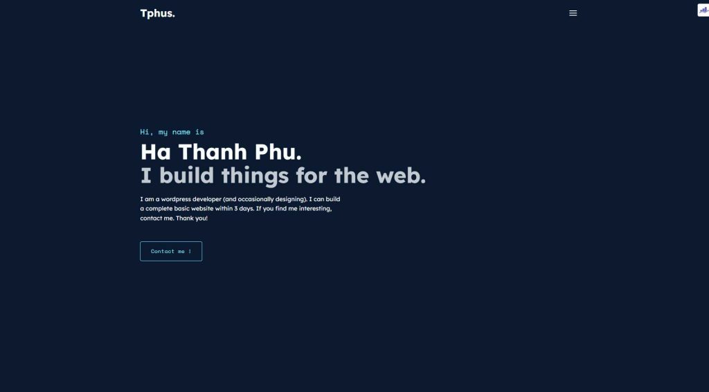 Website build preview